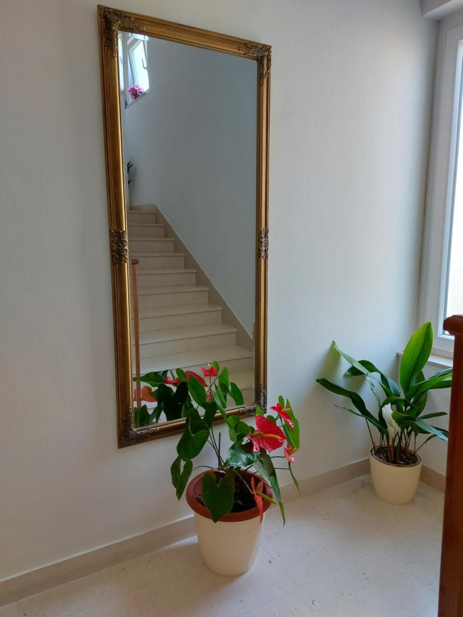 Apartments Diridonda Omiš Pokoj fotografie